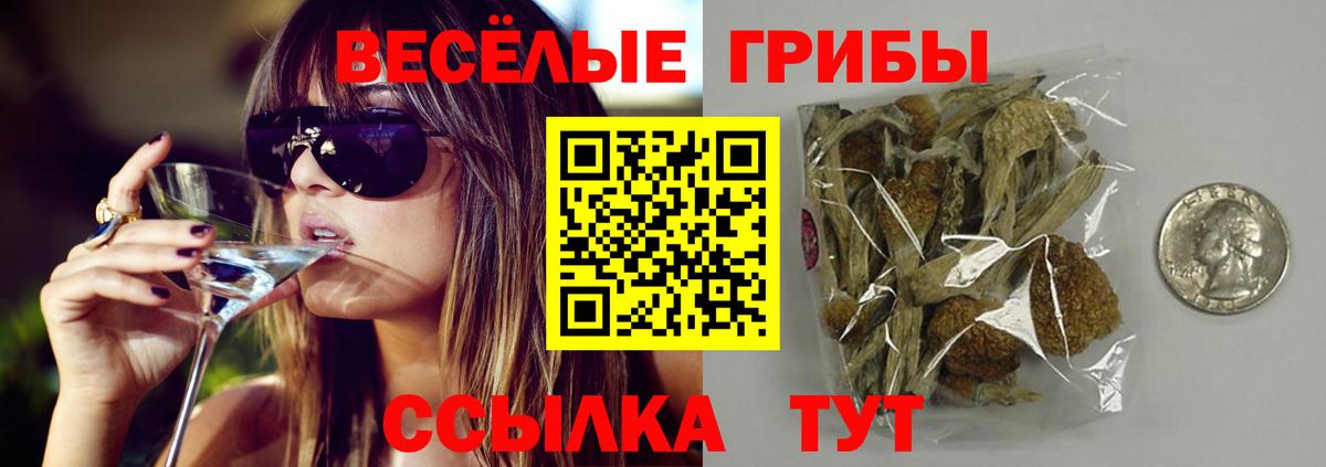Моздок  Галлюциногенные грибы Psilocybine cubensis  закладки  Галлюциногенные грибы Cubensis  Вход с VPN 